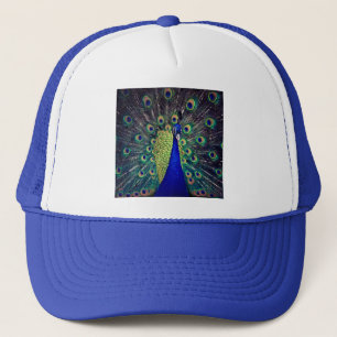 Casquette Cobalt Blue Peacock