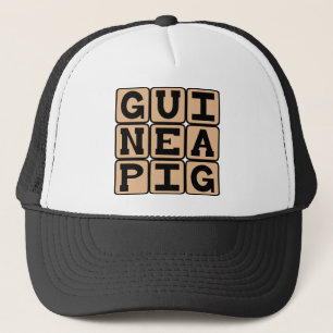 Casquette Cochon d'Inde, Animal de Compagnie Mignon ou Sujet