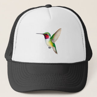 Casquette colibri en vol