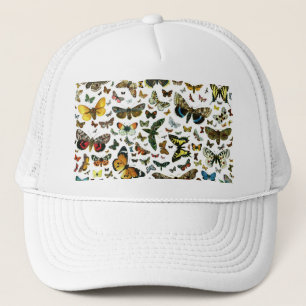 Casquette Collage des papillons de nuit et des papillons de 