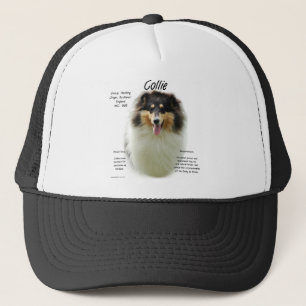 Casquette Collie (tri rude) Conception de l'histoire