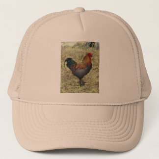 Casquette Coq 1