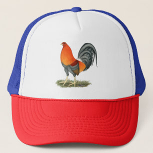 Casquette Coq bleu rouge Gamecock
