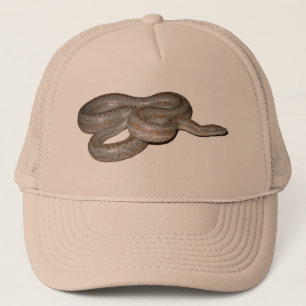 Casquette côtier de boa attrayant