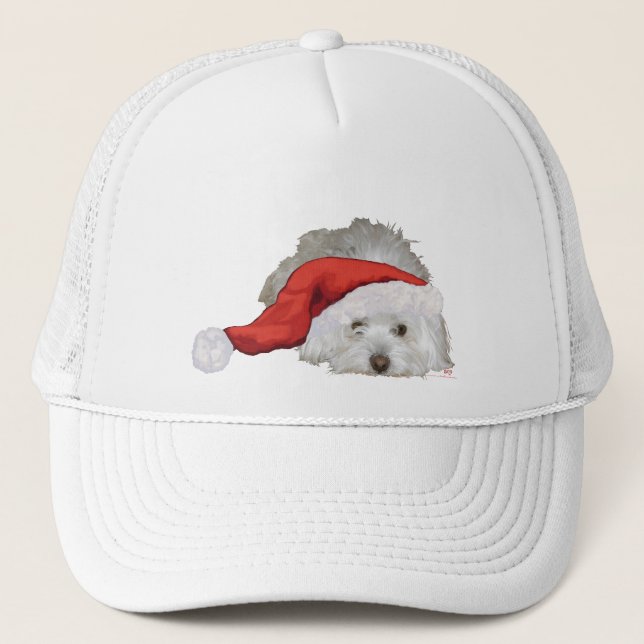 Casquette Coton de Tulear - En attente (Devant)