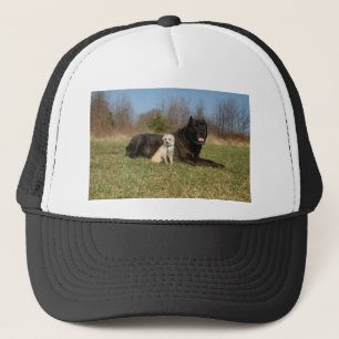 Casquette Couple de chien mignon