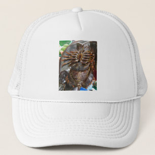 Casquette Crabe à fer à cheval ... Restauration asiatique th