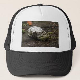 Casquette Crâne de cerf blanc