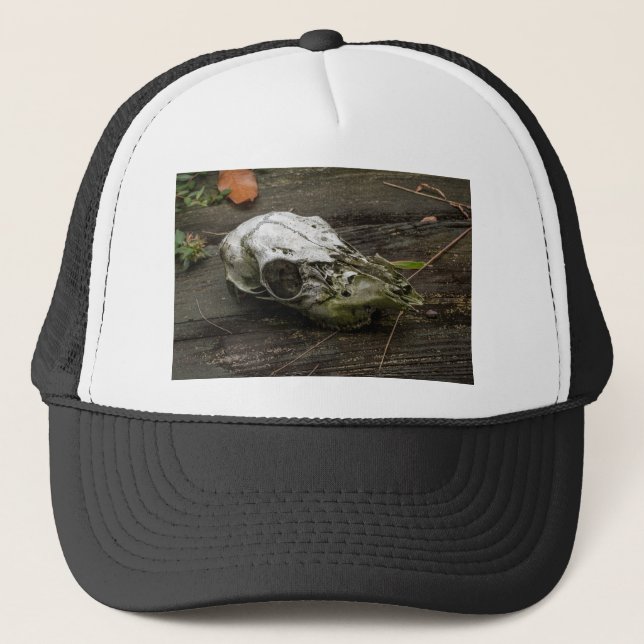 Casquette Crâne de cerf blanc (Devant)
