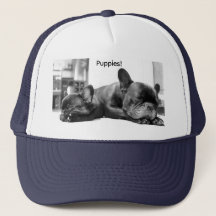 Cute | Drôle | Bulldog Puppies Trucker Chapeau