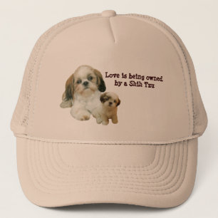 Casquette d'amis de Shih Tzu