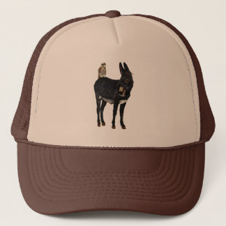 Casquette d'ÂNE et de HIBOU d'INDIGO