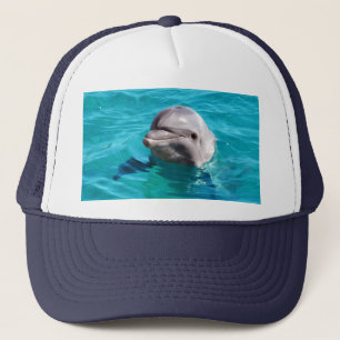 Casquette Dauphin en photo de l'eau bleue