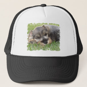 Casquette de baseball de Schnauzer de sommeiller