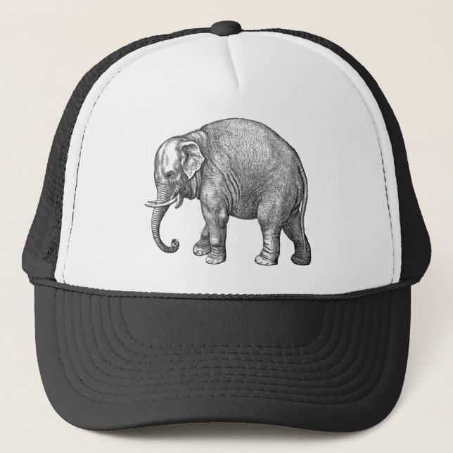 Casquette de baseball éléphant (Devant)