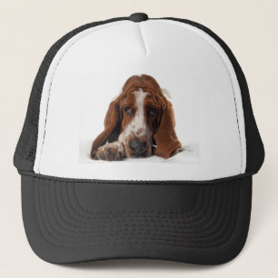 Casquette de Basset Hound