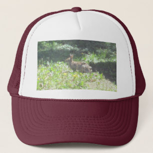 Casquette de Bunny sauvage