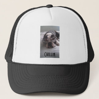 Casquette de camionneur de Boston Terrier