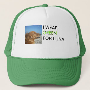 Casquette de camionneur pour mon chien portant une