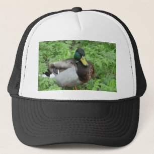 Casquette de canard de Mallard
