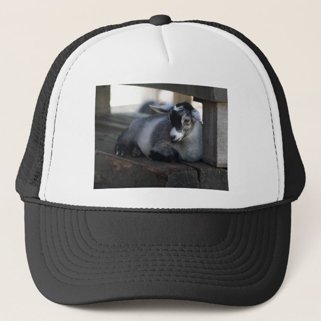 Casquette de chèvre (Devant)