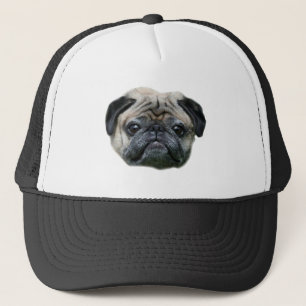Casquette de chien de carlin