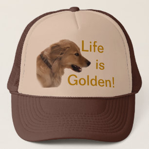 Casquette de chien de golden retriever