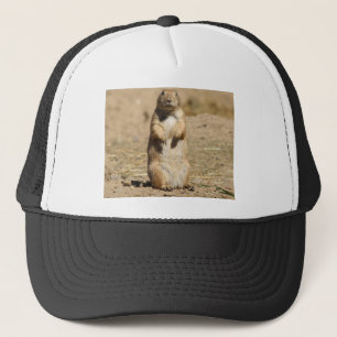 Casquette de chien de prairie