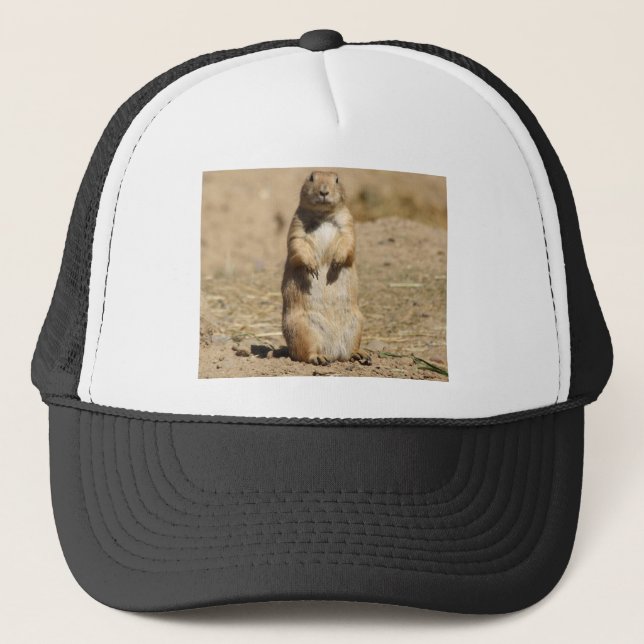 Casquette de chien de prairie (Devant)