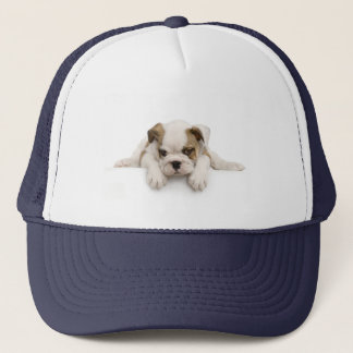 Casquette de chien de Taureau de l'anglais