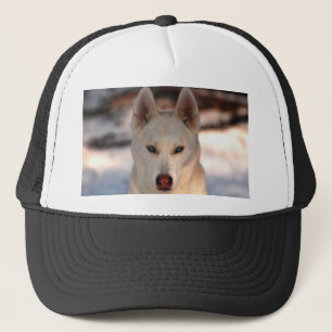 Casquette de chien de traîneau sibérien