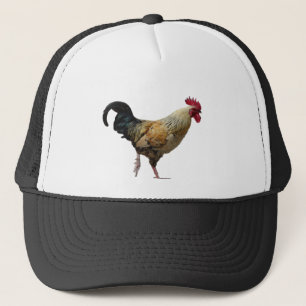 Casquette de coq