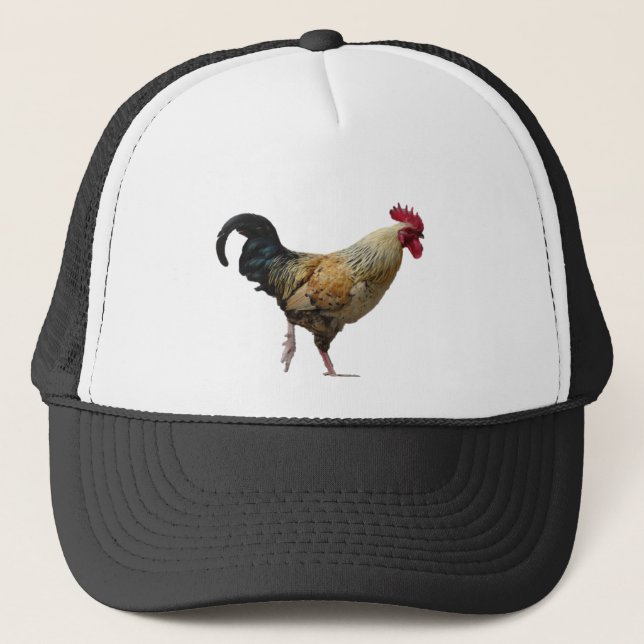 Casquette de coq (Devant)