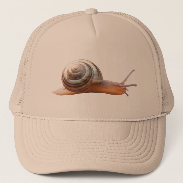 Casquette de ~ d'escargot (Devant)