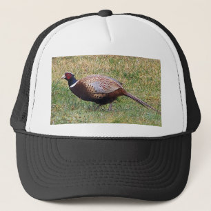 Casquette de faisan