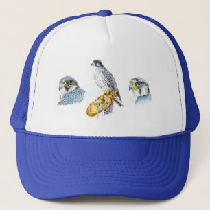 Casquette de Falcony