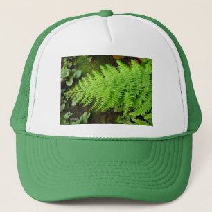 Casquette de fougère