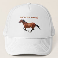 Casquette de galop de pur sang