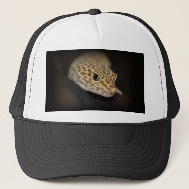 Casquette de Gecko de léopard (Devant)