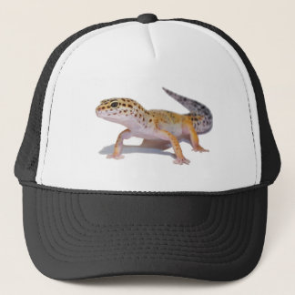 Casquette de Gecko de léopard