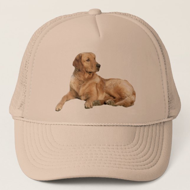Casquette de golden retriever (Devant)