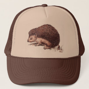 Casquette de hérisson