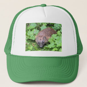 Casquette de hérisson