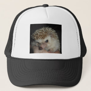 Casquette de hérisson
