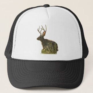 Casquette de Jackalope