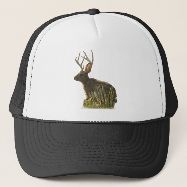 Casquette de Jackalope (Devant)