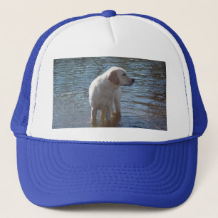 Casquette de labrador retriever au lac