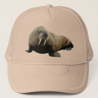 Casquette de morse