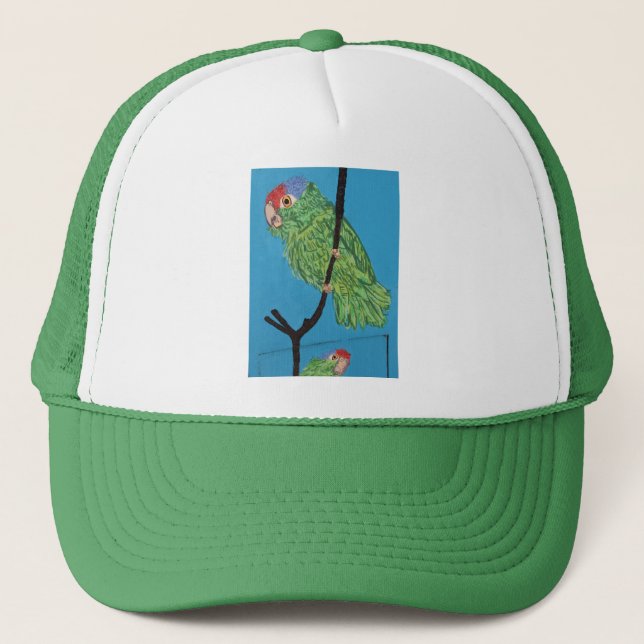 casquette de perroquet vert (Devant)