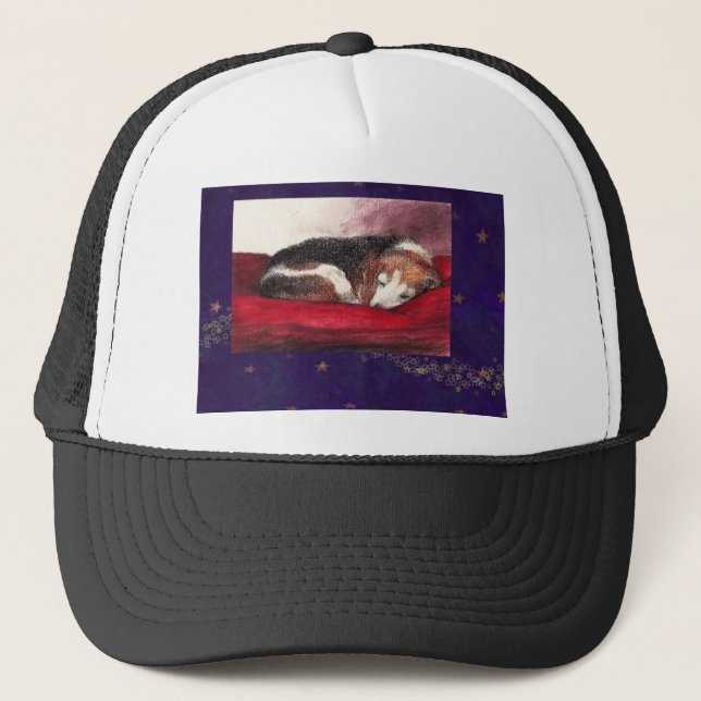 CASQUETTE DE PET-BEAGLE (Devant)